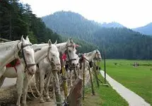 Dalhousie