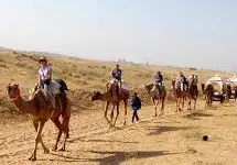 camel ride